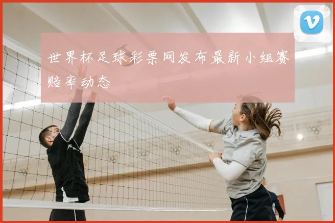 世界杯足球彩票网发布最新小组赛赔率动态