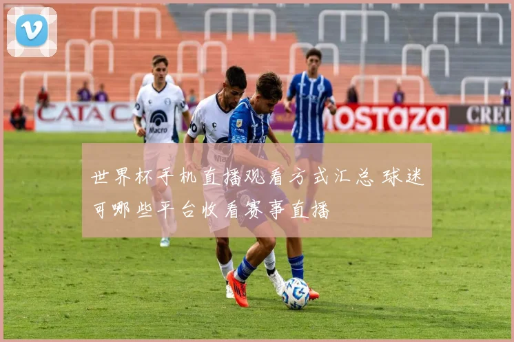 世界杯手机直播观看方式汇总 球迷可哪些平台收看赛事直播