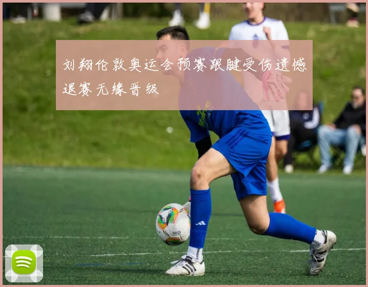 刘翔伦敦奥运会预赛跟腱受伤遗憾退赛无缘晋级